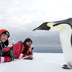 emperor penguin wildlife adventure travel packages